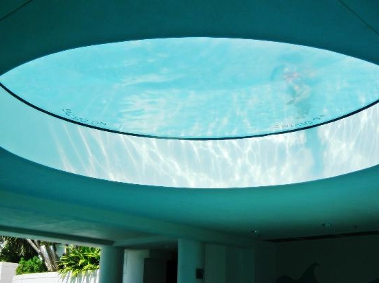 Pool - Picture of The Diplomat Beach Resort Hollywood, Curio Collection by Hilton - Tripadvisor